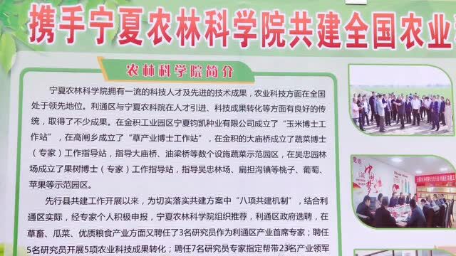 有事儿找博士!宁夏这个区“高调”发展产业