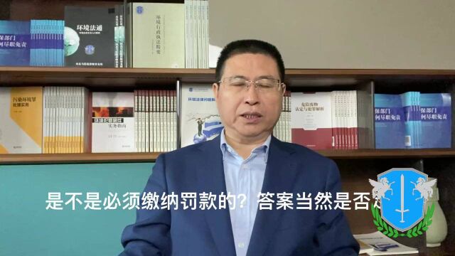 收到行政处罚决定书是否必须缴纳罚款?