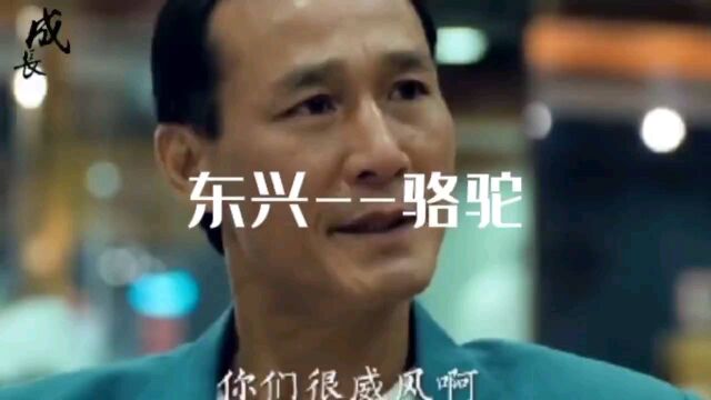 回顾经典,东兴骆驼,结局悲惨,,,