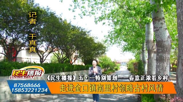 春意正浓看乡村:走进金口镇南里村领略古村风情