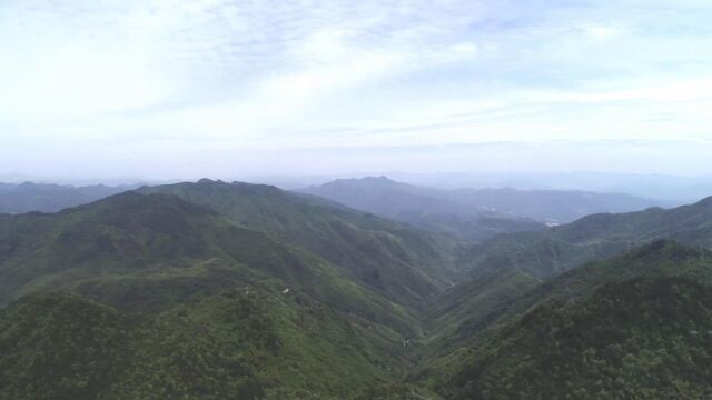 黄桥上燕高山湿地