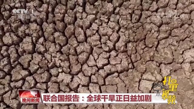 敲响警钟!自2000年以来,全球干旱出现次数增加29%