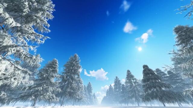 实拍4K冬天冬季冬日唯美雪景下雪雪花飘落蓝天视频 