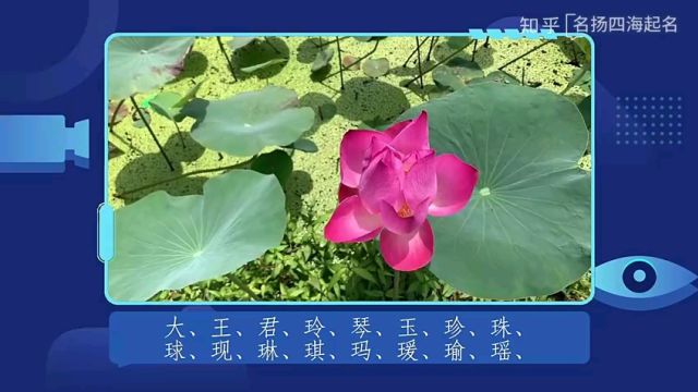 属龙宝宝起名宜用字.