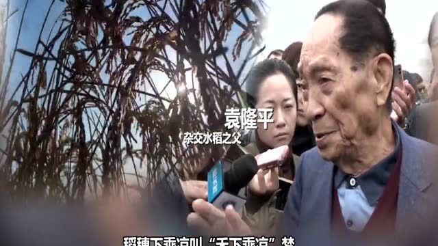 第六个“全国科技工作者日”:致敬科技力量!