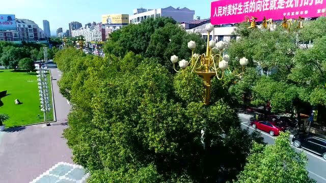 重磅!宜都市引进事业单位“紧缺急需”人才70名