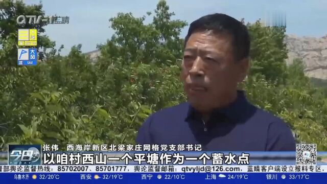 青岛西海岸新区珠海街道:乡村资源共享助增收