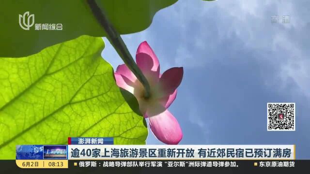 逾40家上海旅游景区重新开放 有近郊民宿已预订满房