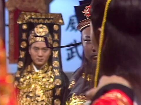 碧血青天杨家将05