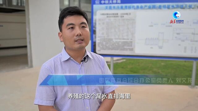 全球连线|海南探索渔业绿色转型 保护海洋生态环境