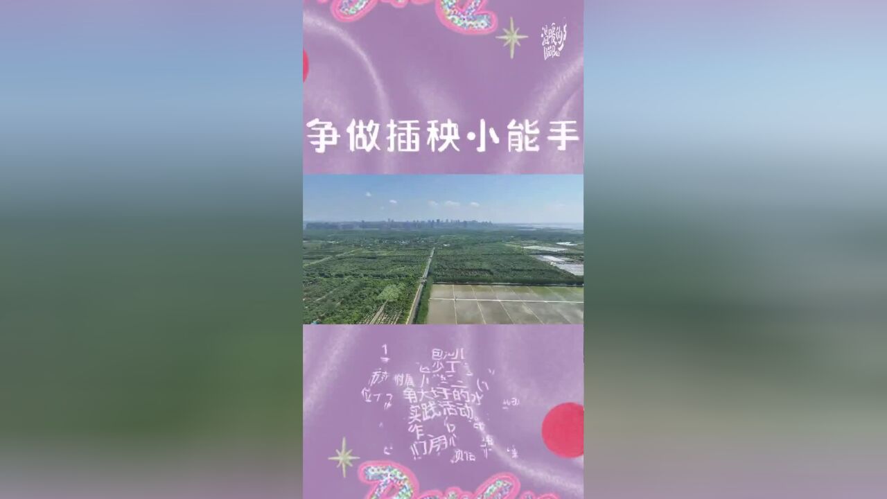 合肥包河区烟墩街道团工委带小学生体验插秧劳动课