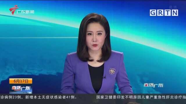 广州从化:龙卷风侵袭 部分地区停电绿化树损毁