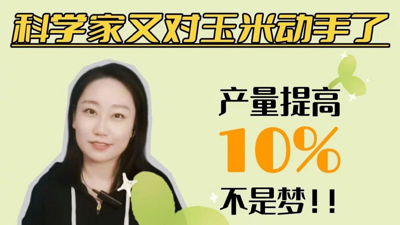 科学家发现关键基因可提高玉米产量10%