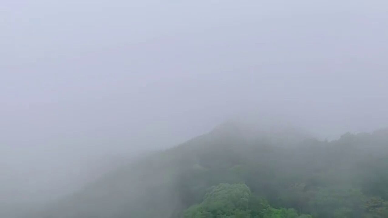 我镜头下的天空走!去山里转转!6月26日早晨,广西壮族自治区田林县海拔2062米的岑王老山国家级自然保护区山顶云雾缭绕