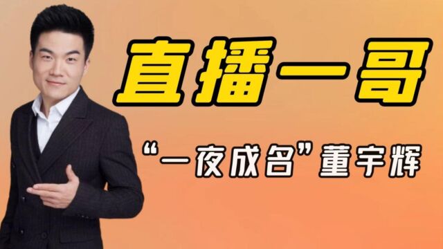 “一夜成名”董宇辉:一人拯救新东方,从月薪3500晋升为公司股东