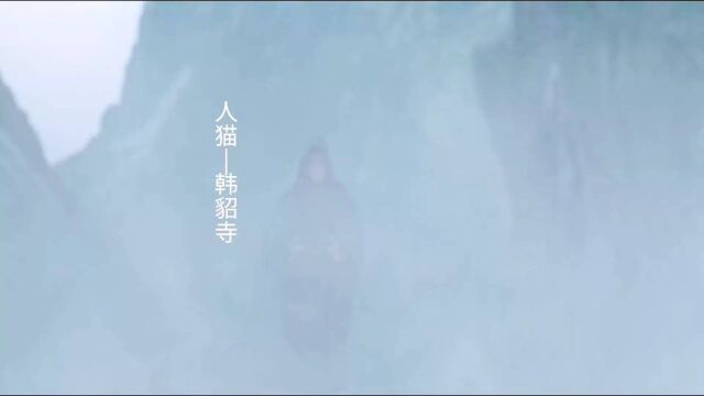 新武评四大宗师 最强四人 雪中悍刀行