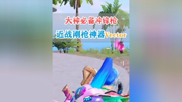 近战爆发王Vector,冲锋枪里的刚枪神器!