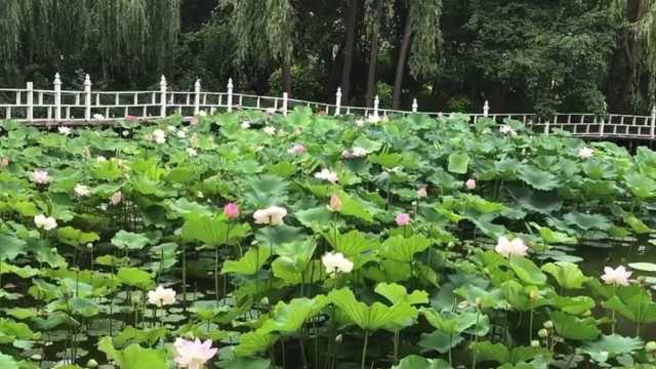 长春关东文化园,是吉林省在市区内集温泉、餐饮、文化博览