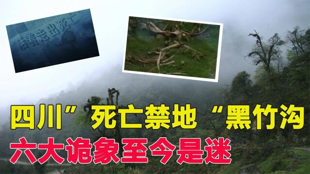 四川死亡禁地黑竹沟,活物靠近有进无出,六大诡象至今是迷