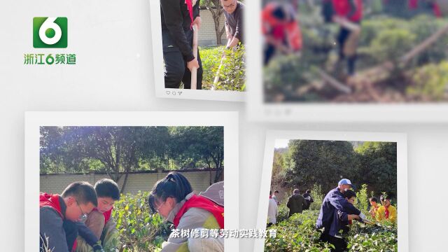 杭州市临安区於潜镇堰口小学:“茶”香文化促“双减”