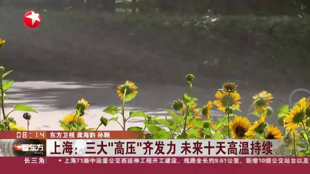 上海:三大“高压”齐发力 未来十天高温持续