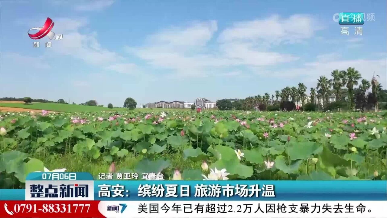 高安:缤纷夏日 旅游市场升温