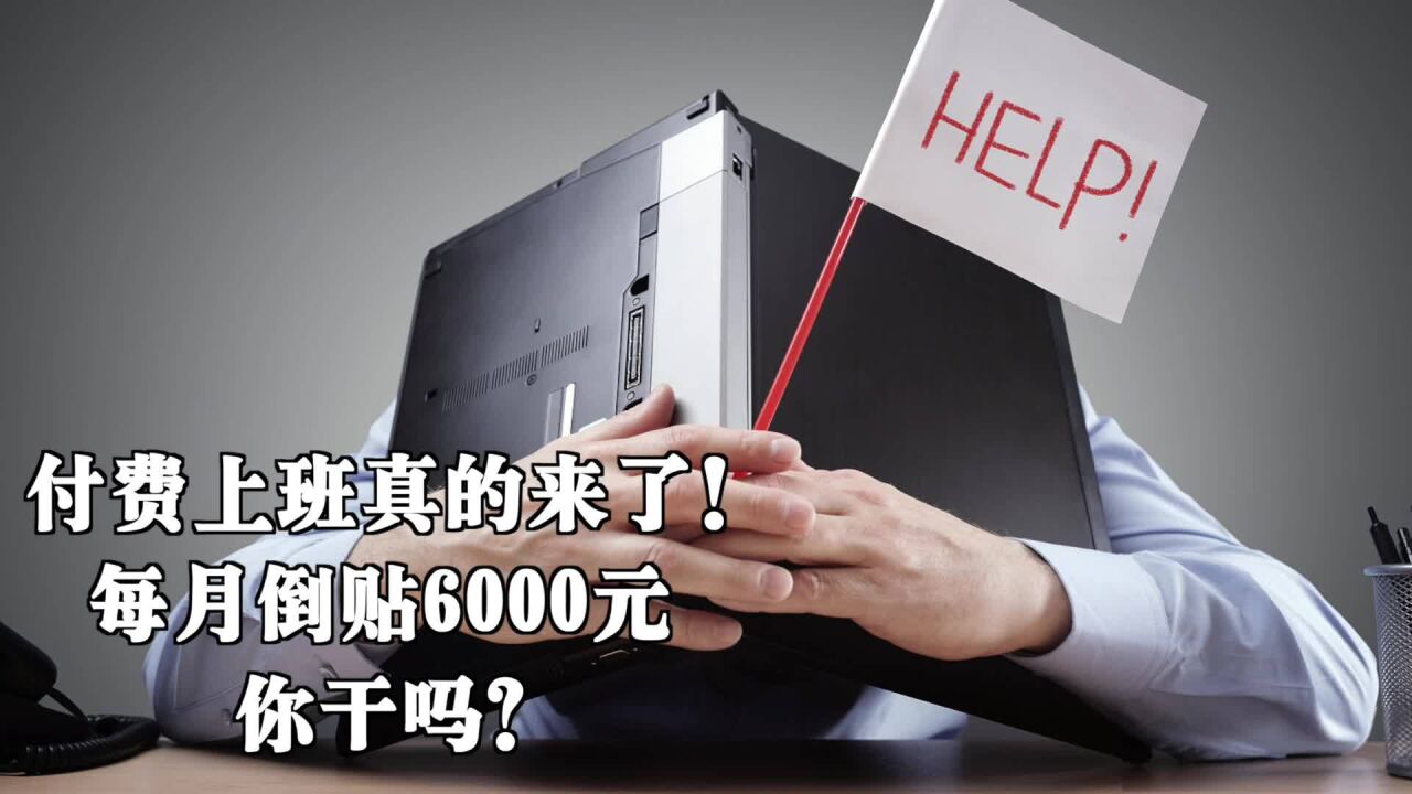 付费上班真的来了!每月倒贴6000元你干吗?