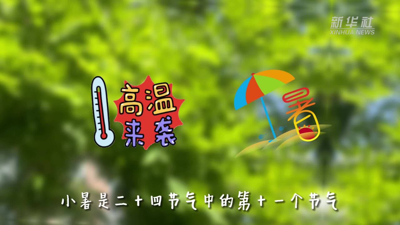 新华全媒+|小暑节气知识科普