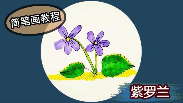 宝宝学画紫罗兰 大家喜欢什么颜色的花哪?最适合36岁儿童的画法