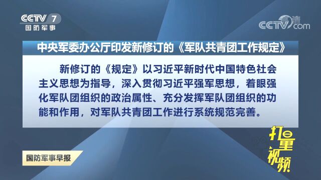 中央军委办公厅印发新修订的《军队共青团工作规定》