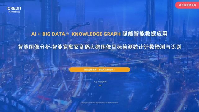 智能图像分析智能家禽家畜鹅大鹅图像目标检测统计计数检测与识别艾科瑞特科技(iCREDIT)
