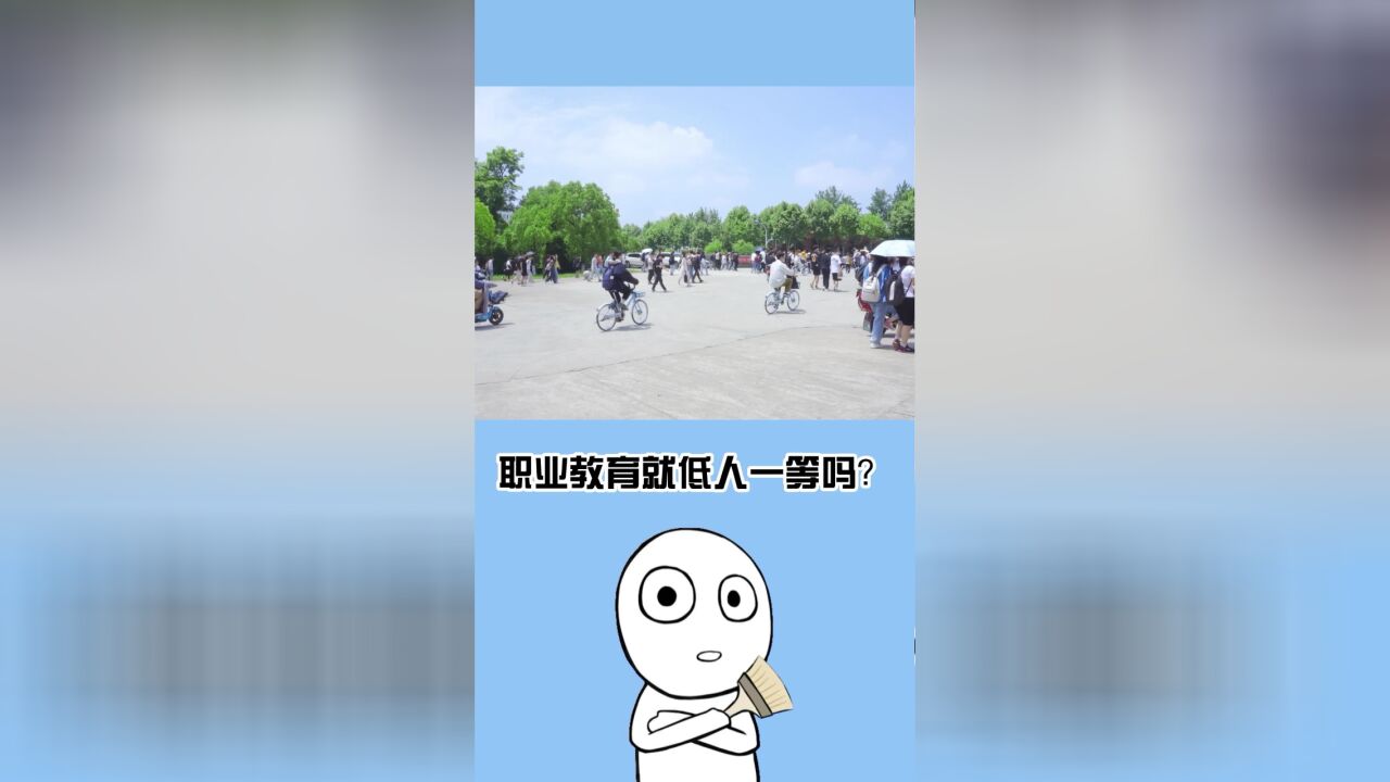 关于职业教育的真相