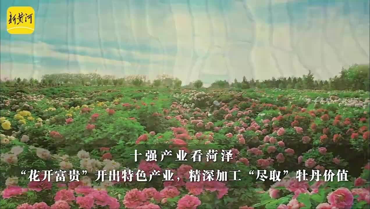 走在前 开新局丨菏泽:精深加工“尽取”牡丹价值