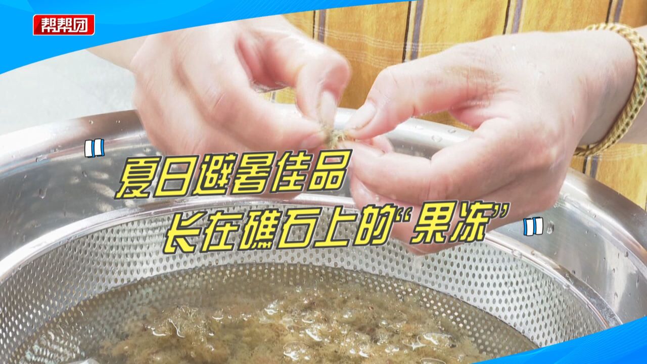 长在礁石上的海石花摇身变成“果冻”,好吃清热又解暑!