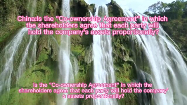 China:Is the Coownership Agreement in which the sh