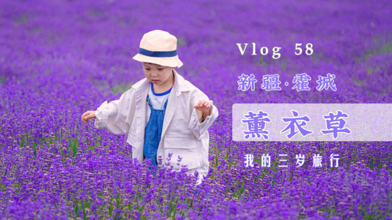 我们的自驾旅行Vlog58门票价格实惠,打卡新疆霍城的薰衣草基地