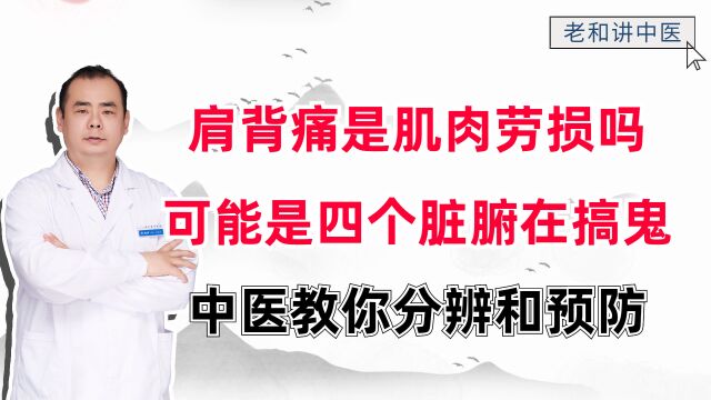 肩背痛一定就是肌肉劳损吗?可能是四个脏腑搞的鬼,中医教你分辨和预防