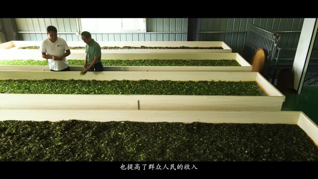 张家界市首届“双十佳”评选展播 | 桑植县人潮溪镇西莲村党支部书记 向建华