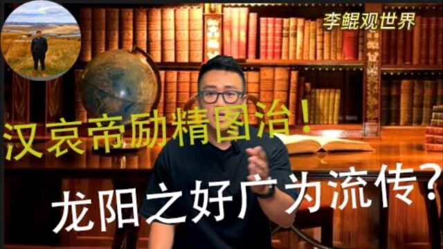 断袖之癖汉哀帝,也想祛除汉朝弊病