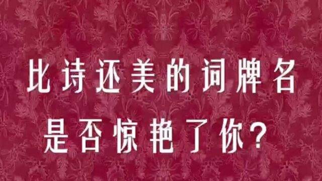 【古风文字之美】那些美到令人心醉的词牌名,哪一句惊艳了你?