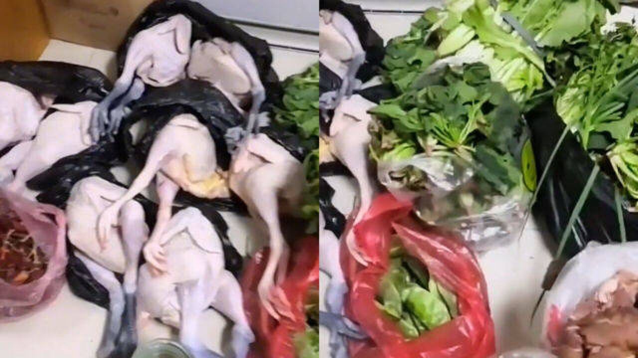 婆婆从老家到城里看儿媳,带自种蔬菜和鸡肉摆满一地,网友羡慕了