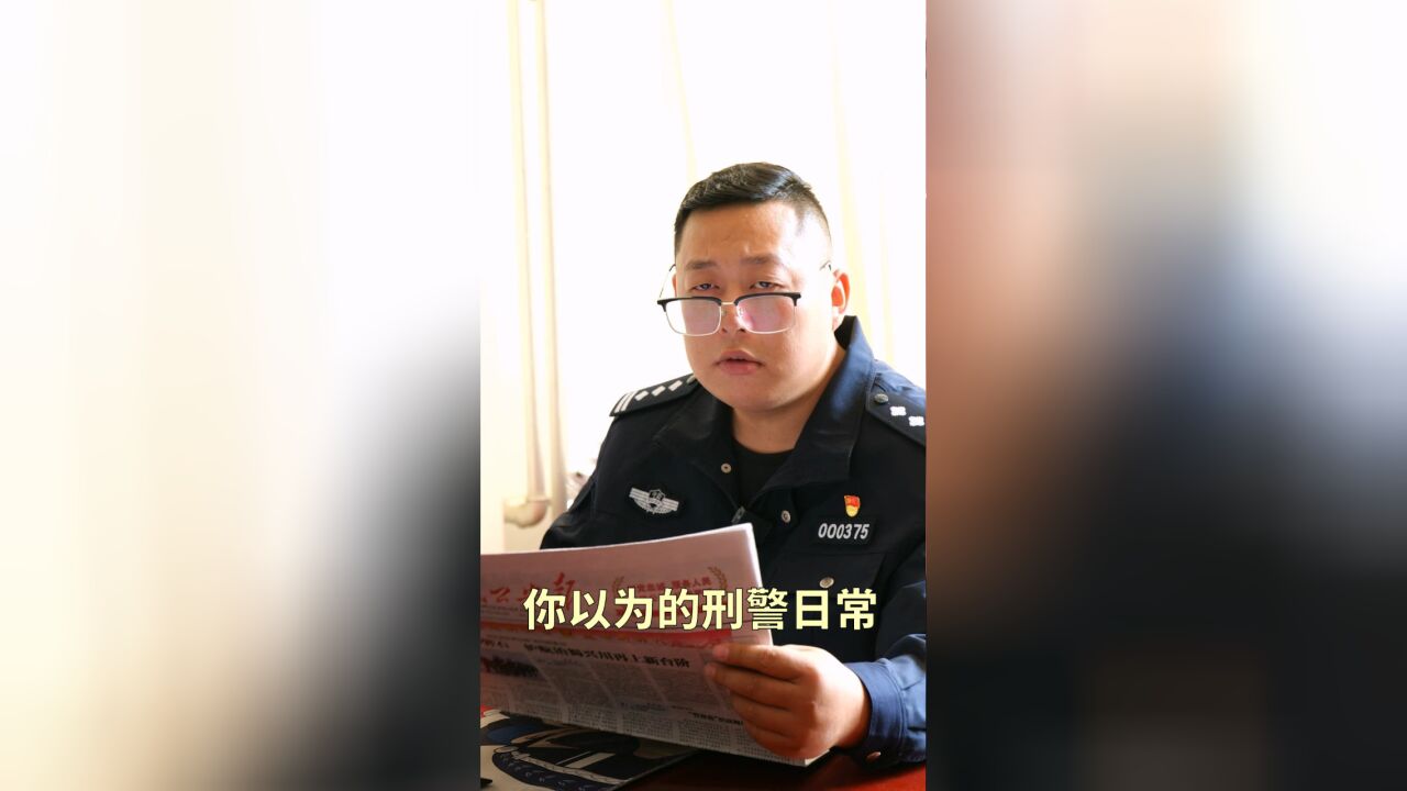 你以为的刑警日常