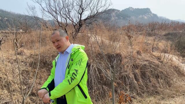 石脉结土穴,太阴官星亥峰高,王君植带你看山东催官风水宝地