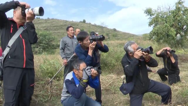 我县“未来万家”杯花梨丰收节摄影大赛启动