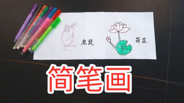 简笔画老鼠、荷花.大家一起来学习吧!