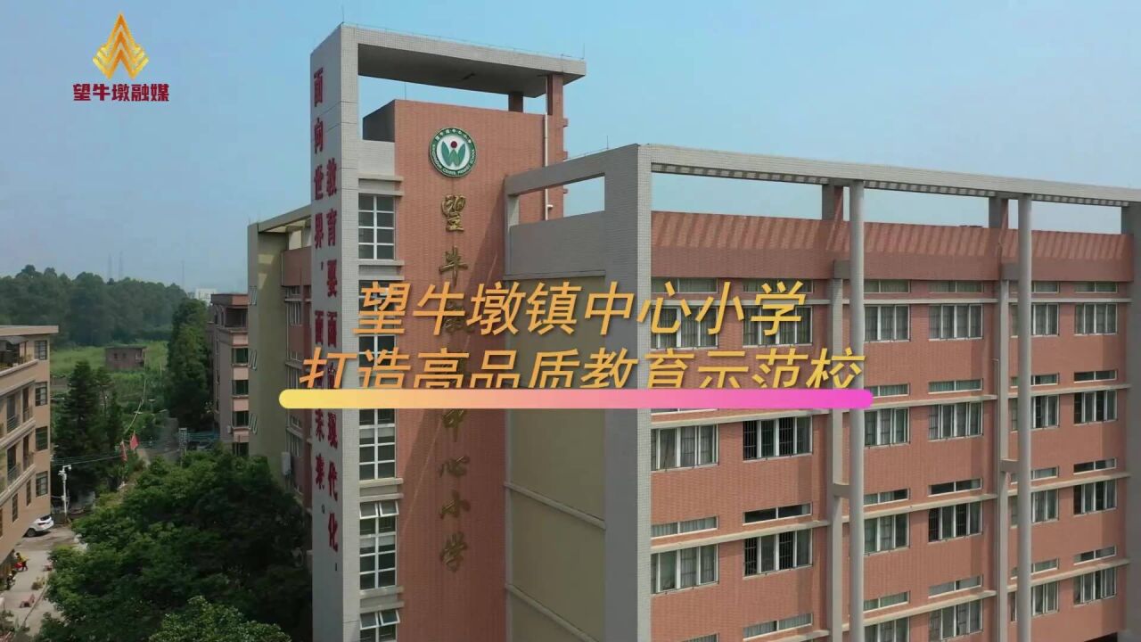 聚焦特色教育,望牛墩镇中心小学打造高品质教育示范校