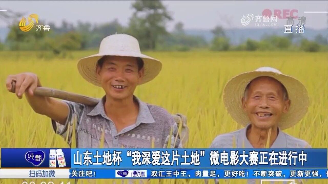 面向社会征集作品!山东土地杯"我深爱这片土地"微电影大赛进行中