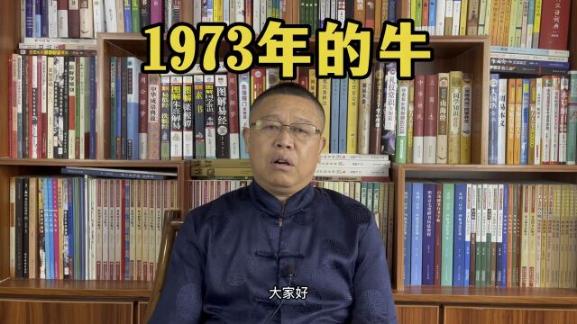 秦华讲解十二生肖:1973年出生的属牛人