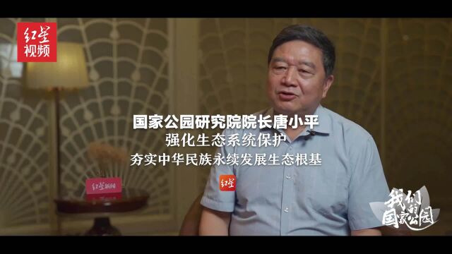 国家公园研究院院长唐小平:强化生态系统保护,夯实中华民族永续发展生态根基