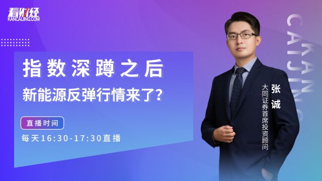 大同证券资深投顾张诚:指数深蹲之后,新能源反弹行情来了?